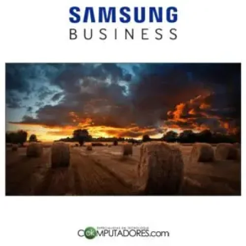 LFD-Samsung-VMB-U-300x300
