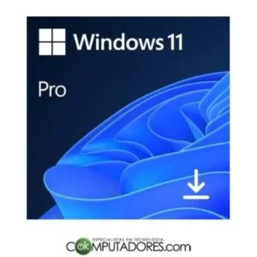 Microsoft-Windows-11-Pro-300x300